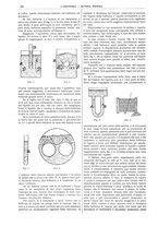 giornale/CFI0356408/1903/unico/00000608