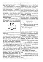 giornale/CFI0356408/1904/unico/00000339