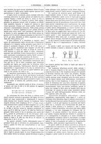 giornale/CFI0356408/1904/unico/00000391