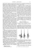 giornale/CFI0356408/1905/unico/00000373