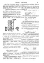 giornale/CFI0356408/1905/unico/00000377
