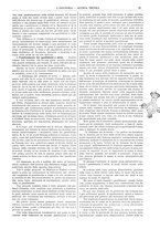 giornale/CFI0356408/1906/unico/00000025