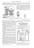 giornale/CFI0356408/1906/unico/00000031