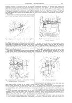 giornale/CFI0356408/1906/unico/00000235