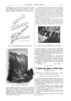 giornale/CFI0356408/1906/unico/00000733