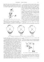 giornale/CFI0356408/1907/unico/00000169