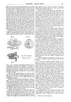 giornale/CFI0356408/1908/unico/00000043