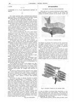 giornale/CFI0356408/1908/unico/00000384
