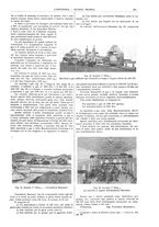 giornale/CFI0356408/1908/unico/00000561