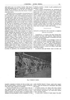 giornale/CFI0356408/1909/unico/00000617