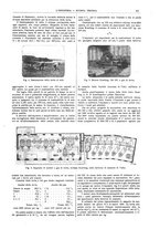 giornale/CFI0356408/1910/unico/00000145