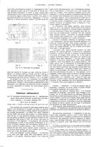 giornale/CFI0356408/1910/unico/00000299