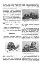giornale/CFI0356408/1910/unico/00000305