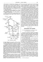 giornale/CFI0356408/1910/unico/00000307