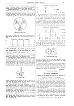 giornale/CFI0356408/1911/unico/00000155