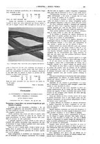 giornale/CFI0356408/1911/unico/00000257