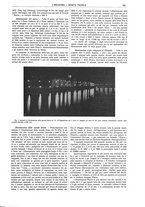 giornale/CFI0356408/1911/unico/00000563