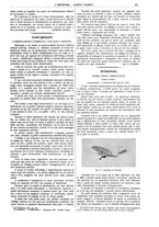 giornale/CFI0356408/1913/unico/00000361