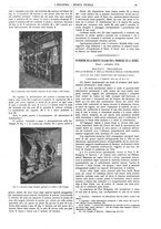 giornale/CFI0356408/1914/unico/00000101