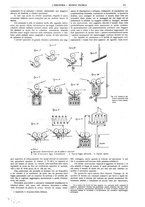 giornale/CFI0356408/1914/unico/00000703