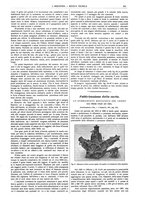 giornale/CFI0356408/1915/unico/00000719