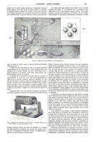 giornale/CFI0356408/1916/V.30/00000555