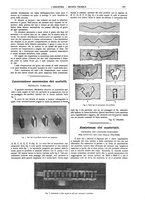 giornale/CFI0356408/1916/V.30/00000595