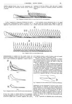 giornale/CFI0356408/1916/V.30/00000831