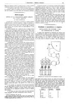 giornale/CFI0356408/1916/V.31/00000233