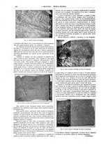 giornale/CFI0356408/1916/V.31/00000756