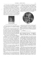 giornale/CFI0356408/1919/unico/00000209