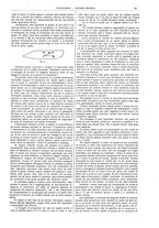 giornale/CFI0356408/1919/unico/00000335