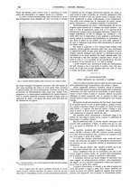 giornale/CFI0356408/1919/unico/00000342