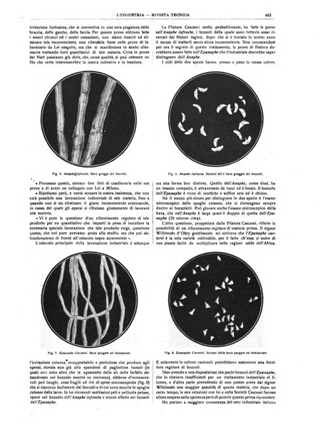 L'industria rivista tecnica ed economica illustrata