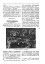 giornale/CFI0356408/1923/unico/00000073