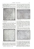 giornale/CFI0356408/1924/unico/00000021