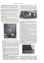 giornale/CFI0356408/1924/unico/00000077
