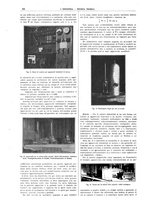 giornale/CFI0356408/1924/unico/00000588