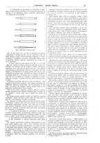 giornale/CFI0356408/1924/unico/00000643