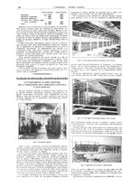 giornale/CFI0356408/1924/unico/00000972