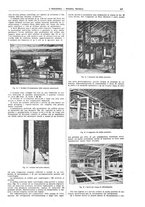 giornale/CFI0356408/1924/unico/00000975