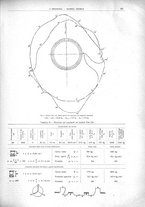 giornale/CFI0356408/1924/unico/00001017