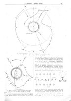 giornale/CFI0356408/1924/unico/00001019