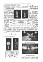 giornale/CFI0356408/1924/unico/00001134
