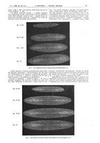 giornale/CFI0356408/1926/unico/00000047