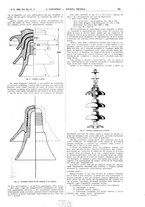 giornale/CFI0356408/1926/unico/00000339