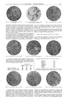 giornale/CFI0356408/1928/unico/00000295