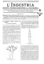 giornale/CFI0356408/1929/unico/00000151