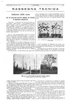 giornale/CFI0356408/1932/unico/00000021