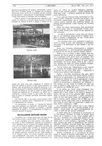 giornale/CFI0356408/1932/unico/00000182